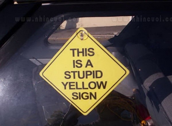 Đây là một biển báo màu vàng ngu ngốc...